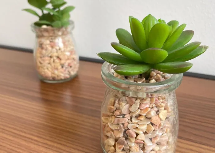 Tram Station Bed and breakfast 3*